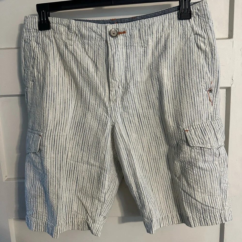 Tommy Bahama Striped Blue and White Men's Shorts